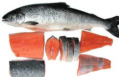salmon fish oil