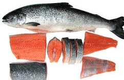 salmon Fish Oil