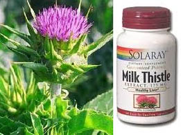 from plant to bottle, Milk Thistle works