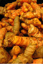 turmeric root