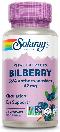 Bilberry Extract, 60ct 42mg