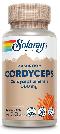 Cordyceps Extract, 60ct 500mg