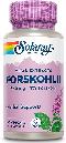 Forskohlii Root Extract, 60ct 385mg