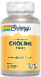 Two-Staged, Timed-Release Choline, 100ct 600mg