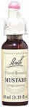 Flower Essence Mustard, 20 ml