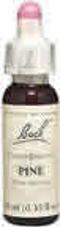 Flower Essence Pine, 20 ml