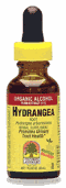Hydrangea Root Extract, 1 fl oz