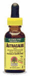 Astragalus Alcohol Free Extract, 1 fl oz
