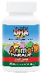 ANIMAL PARADE DHA CHERRY, 90 ct
