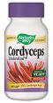 Cordyceps Standardized Extract, 60 CAPVEGI