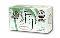 Organic Lemongrass Tangerine Soap Bar, 240 gm