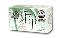 Organic Pineapple Coconut Soap Bar, 240 gm